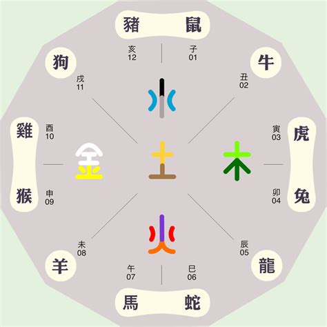 珝五行|洹字的五行属性